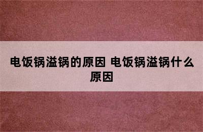 电饭锅溢锅的原因 电饭锅溢锅什么原因